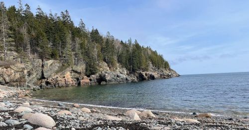 A serene coastal scene with rocky shores, smooth pebbles, and a backdrop of trees under a clear blue sky.