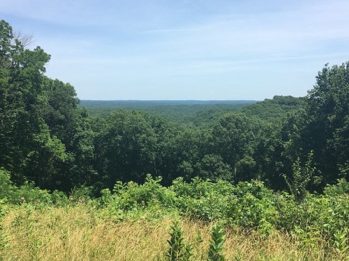 A panoramic view of lush green hills and trees under a clear blue sky.