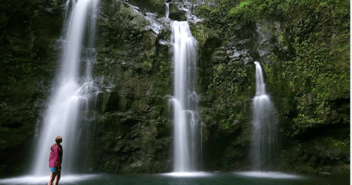 A person stands in front of a lush waterfall, surrounded by greenery and cascading water.