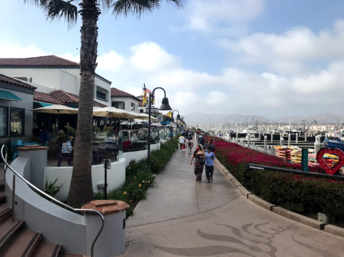 A scenic waterfront walkway lined with restaurants, flowers, and boats in the marina under a cloudy sky.