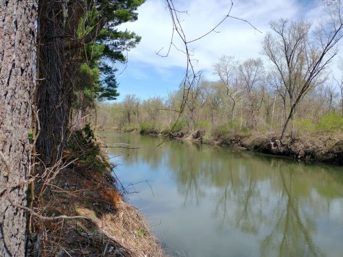 A serene river flows through a wooded area, reflecting trees and a clear blue sky.