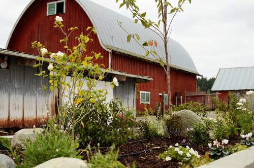 A red barn with a gray roof surrounded by a garden featuring flowers and rocks under a cloudy sky.