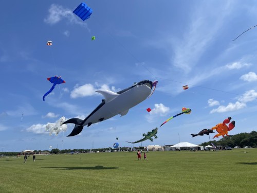 Colorful kites, including a large whale, soar in a blue sky over a grassy field with people below.