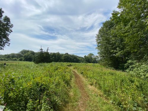 A grassy path leads through a lush green field, surrounded by trees under a partly cloudy sky.
