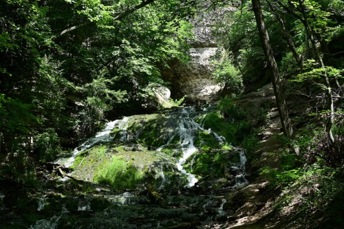 A serene waterfall cascading over moss-covered rocks, surrounded by lush green trees in a tranquil forest setting.
