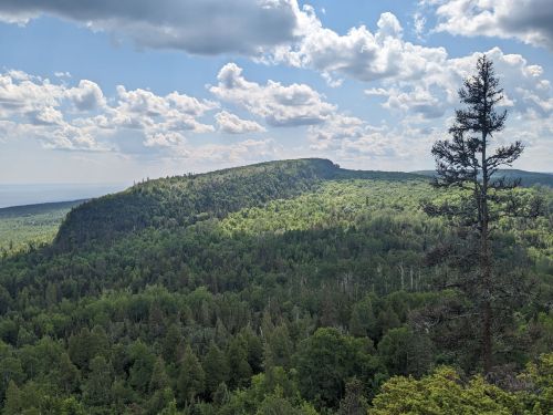 A panoramic view of a lush green forested landscape with a distant mountain under a partly cloudy sky.