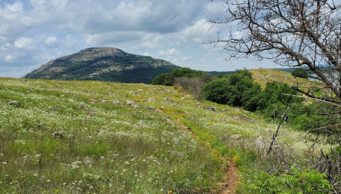 A scenic landscape featuring a grassy field, rocky terrain, and a distant mountain under a partly cloudy sky.