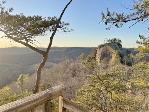 Scenic view of a rocky outcrop surrounded by trees, with a golden sunset illuminating the landscape.