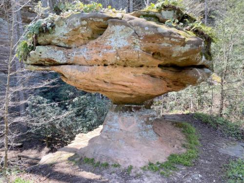 A large, flat-topped rock formation with moss and greenery, standing on a narrow base in a forested area.
