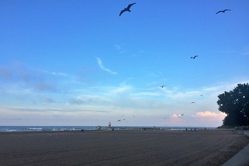 A serene beach scene at dusk with seagulls flying over the water and a lighthouse in the distance.