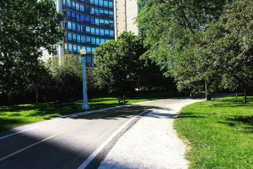 A winding path through a green park, lined with trees and buildings in the background under clear blue skies.