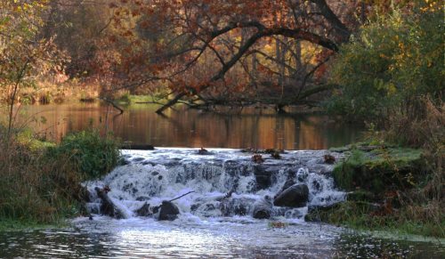 A serene scene of a small waterfall cascading over rocks into a calm pond, surrounded by autumn foliage.