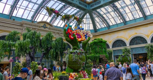 visitors view garden displays inside the bellagio conservatory in las vegas nevada