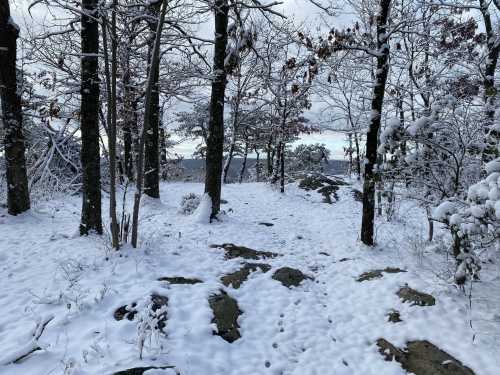 A snowy forest path winding through trees, with footprints in the snow and a cloudy sky above.