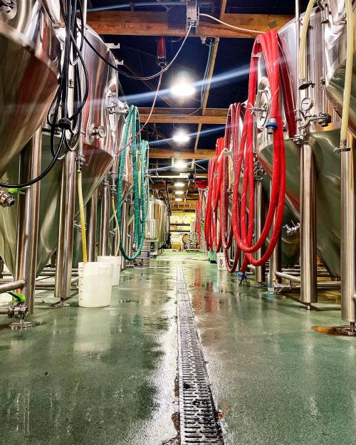 Interior of a brewery with stainless steel fermentation tanks and colorful hoses, reflecting lights on a wet floor.
