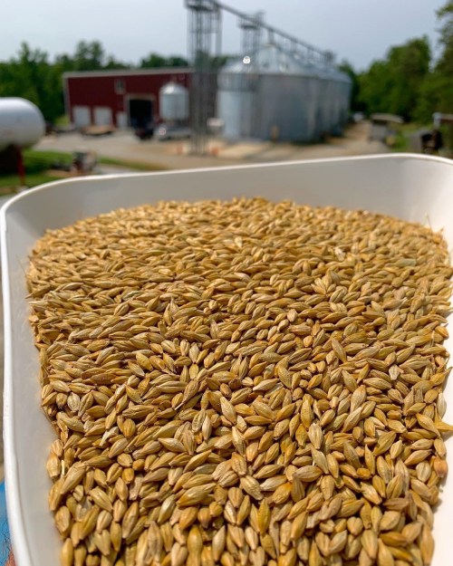 A close-up of a tray filled with grains, with a farm building and silos in the background under a clear sky.