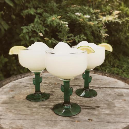 Three margarita glasses with lime slices, filled with frozen margaritas, on a wooden table surrounded by greenery.