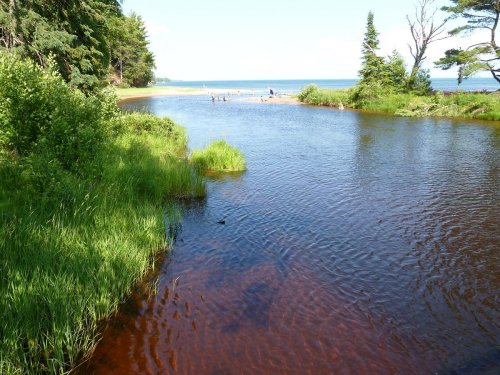 A serene river flows into a lake, surrounded by lush greenery and trees under a clear blue sky.