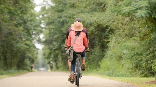 A couple rides a bicycle on a tree-lined path, surrounded by greenery.