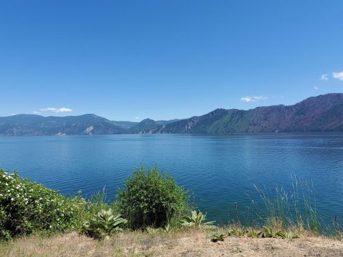 A serene lake surrounded by green hills under a clear blue sky, with lush vegetation in the foreground.