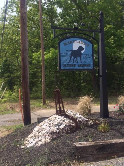 The Saloon In Port Tobacco, Maryland Inspired By A Ghost Dog