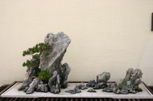 A decorative stone arrangement with a small pine tree, set against a plain wall.