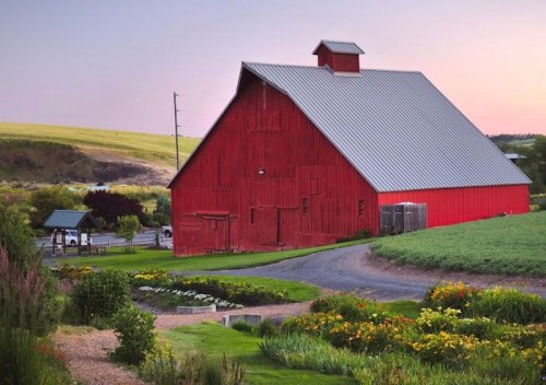 A red barn with a metal roof stands beside a garden, surrounded by green fields under a pastel sky at sunset.
