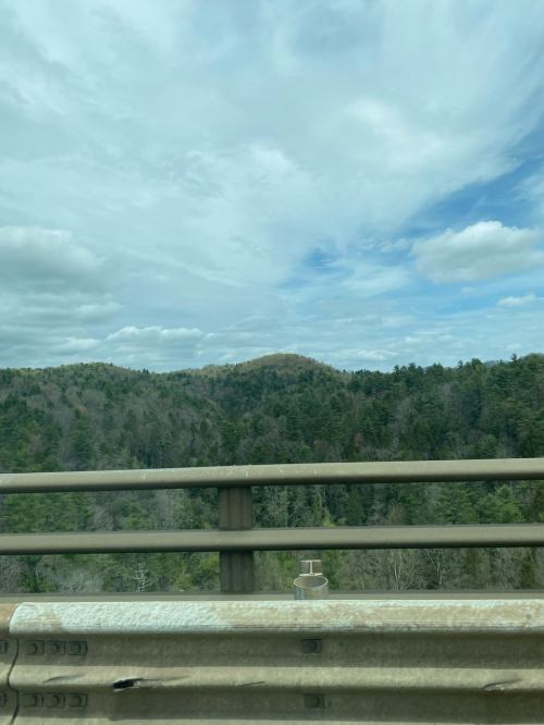 A view of green hills and trees under a cloudy sky, seen from a highway railing.