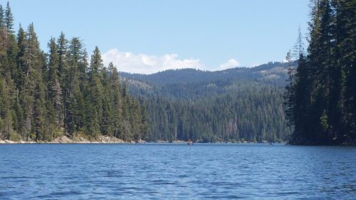 A serene lake surrounded by tall pine trees and mountains under a clear blue sky.