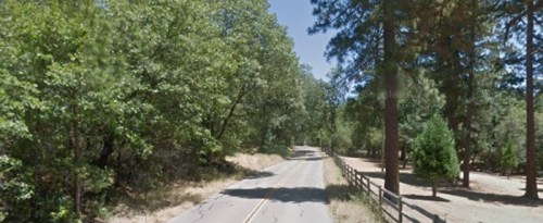 A winding road surrounded by tall trees and greenery on both sides, with a wooden fence in the background.
