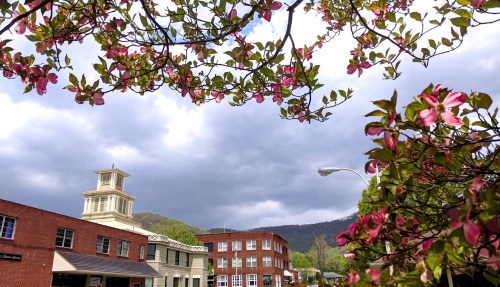 A scenic view of a town with blooming pink flowers, cloudy skies, and mountains in the background.