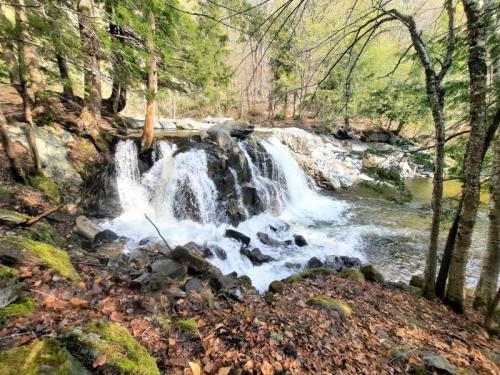 A serene waterfall cascades over rocks, surrounded by lush greenery and fallen leaves in a tranquil forest setting.
