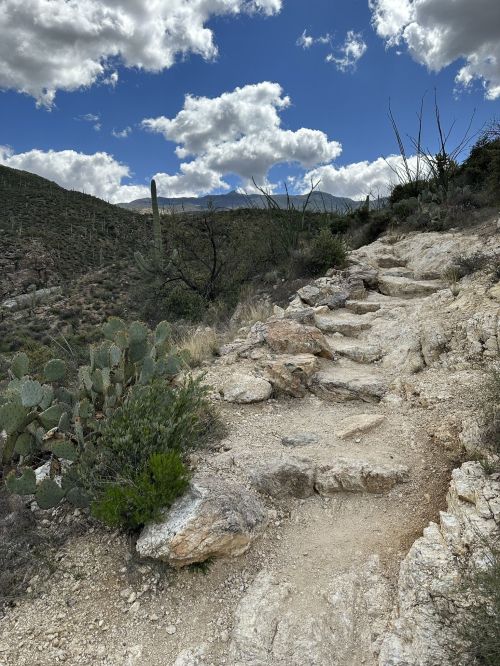 Rocky trail winding through a desert landscape with cacti and a blue sky dotted with clouds.