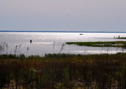A serene lakeside scene with a person wading in the water and a small boat in the distance, surrounded by greenery.