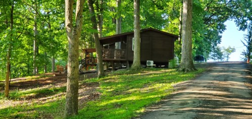 A wooden cabin nestled among trees on a hillside, with a gravel path leading up to it.