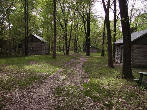 A dirt path winds through a wooded area with log cabins surrounded by lush green trees and scattered leaves.