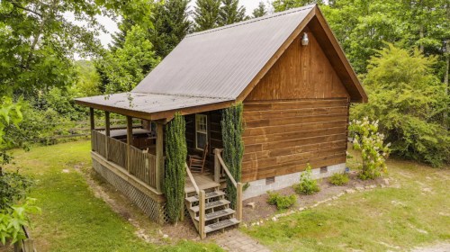 A cozy wooden cabin with a metal roof, surrounded by greenery and featuring a front porch and steps.