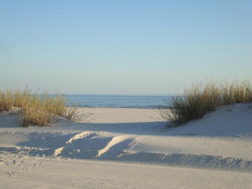 A serene beach scene with soft sand dunes and tall grass, leading to a calm ocean under a clear blue sky.