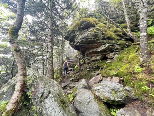 A hiker ascends a rocky trail surrounded by lush greenery and moss-covered boulders in a forested area.