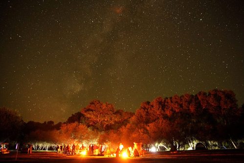 A group of people gathered around a campfire under a starry night sky, surrounded by trees.