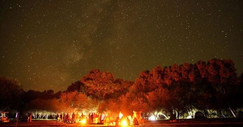 A group of people gathered around a campfire under a starry night sky, surrounded by trees.
