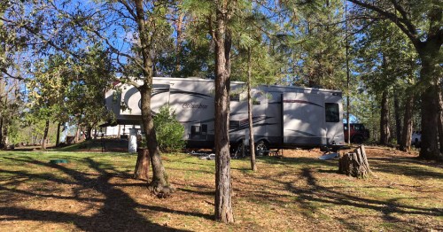A large RV parked among trees in a sunny, green area, with a clear blue sky in the background.