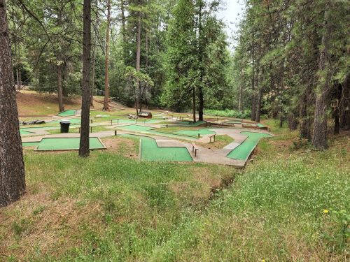 A mini-golf course surrounded by trees, featuring green turf and wooden structures in a natural setting.