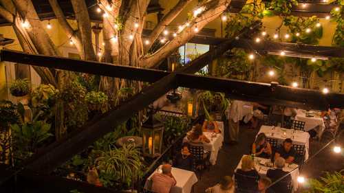 A cozy outdoor restaurant with string lights, surrounded by greenery and diners enjoying their meals.