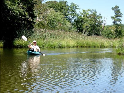 A person paddles a kayak through a calm, green river surrounded by lush vegetation and trees on a sunny day.