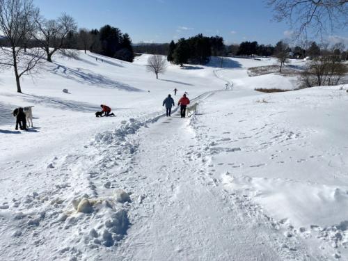 People walking and playing in a snowy landscape, with trees and a clear blue sky in the background.