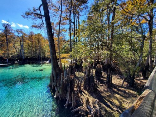 A serene landscape featuring cypress trees and clear turquoise water, surrounded by autumn foliage.