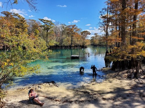 A serene lakeside scene with a person relaxing on the shore, while two others wade in the water surrounded by trees.