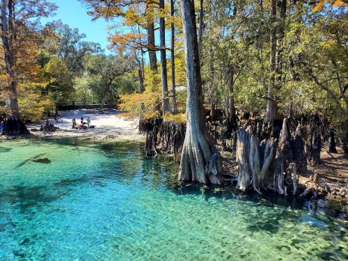 A serene river scene with clear blue water, cypress trees, and people enjoying the beach under a bright blue sky.
