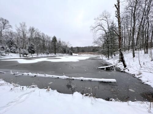 A snowy landscape featuring a frozen pond surrounded by trees, with a log partially submerged in the water.